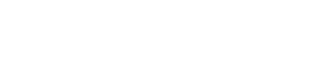 Zendaita